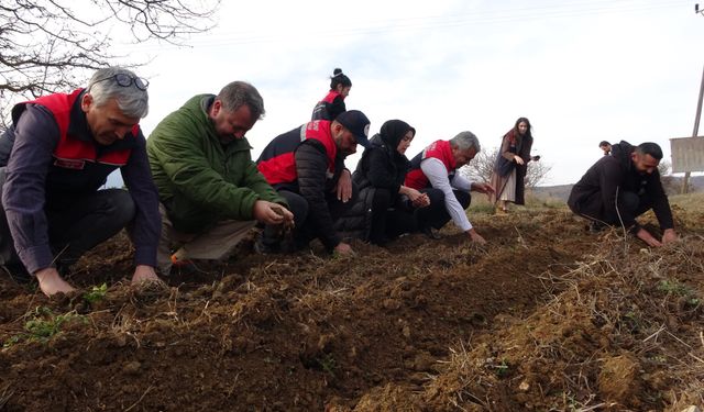 Kastamonu'daki kadın girişimcilere ücretsiz dağıtıldı