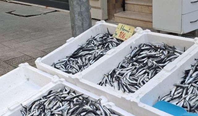 Kastamonulu balıkçıdan kanser hastası için kampanya