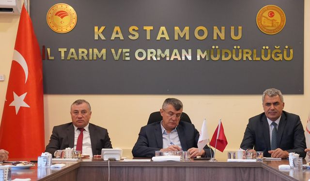 Kastamonu'nun üç yıllık üretim planı onaylandı