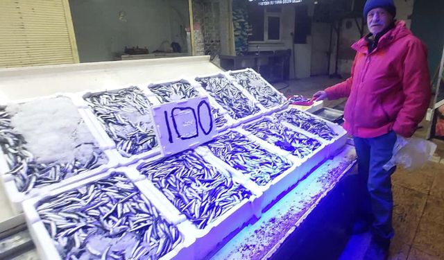 Kastamonu'da hamsinin kilosu 100 TL kadar düştü