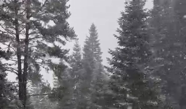 Ilgaz Dağı'nda kar yağışı etkili oluyor