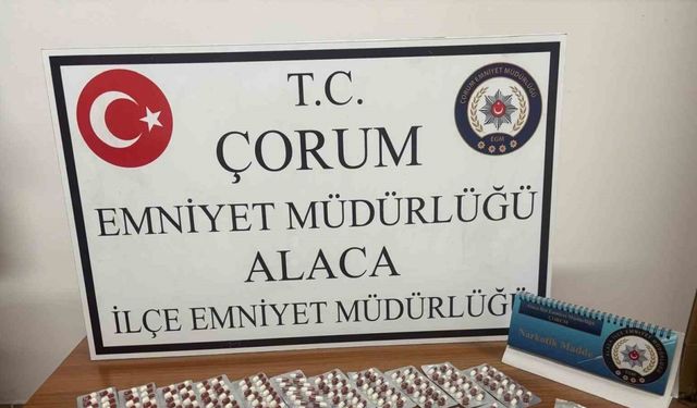 266 adet sentetik ecza hapı ele geçirildi