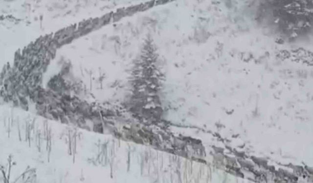 Anzer Yaylası beyaza büründü, yaylacılar karla mücadele etti