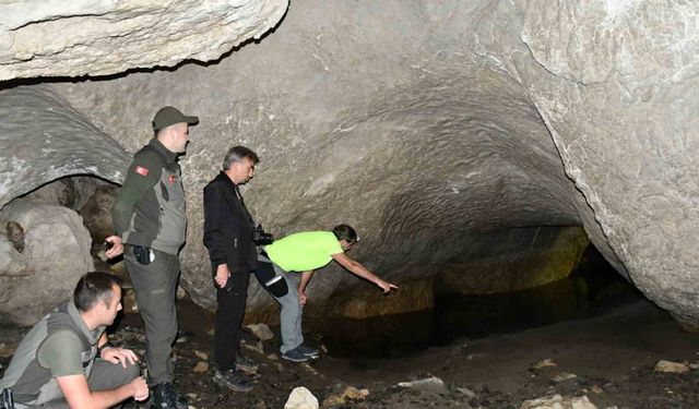 Araç'ta 5 kapılı dev mağara keşfedilmeyi bekliyor