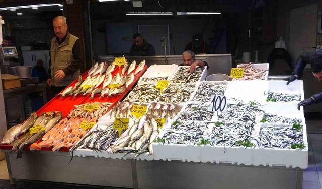 Karadeniz’de hamsi bereketi yaşanıyor