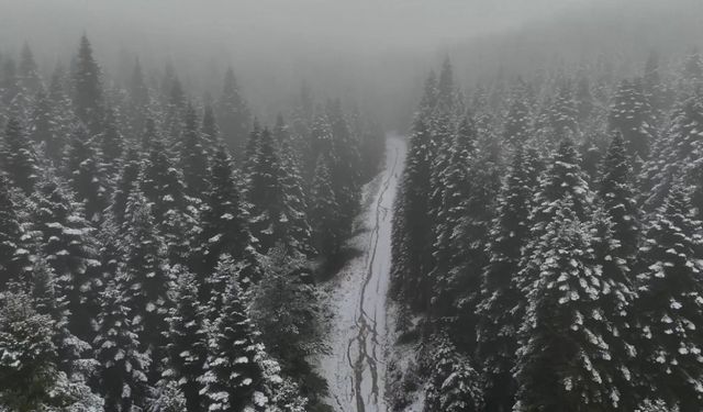 Komşu'da yüksek kesimler beyaza büründü