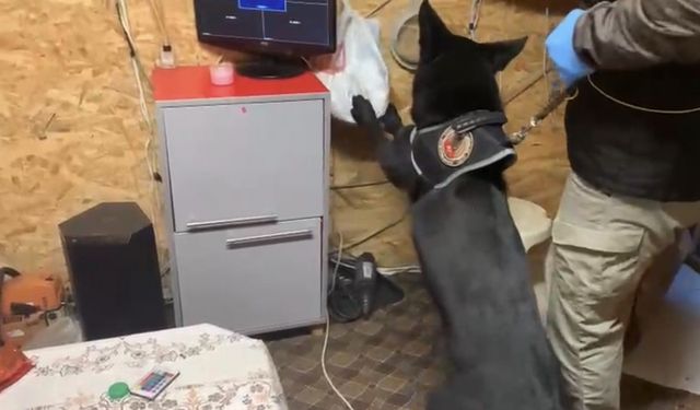 Narkotik köpeği Tony, bağ evindeki gizli düzeneği ortaya çıkardı