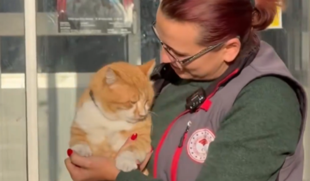 Bartın’da kayboldu, aylar sonra Kastamonu’da ortaya çıktı