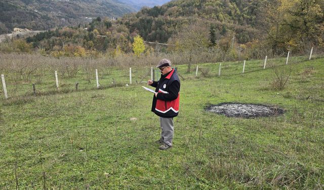 Çatalzeytin'de ürün beyan doğrulama çalışmaları sürüyor