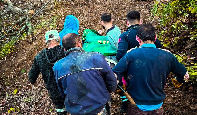 Cide’de tomruk altında kalan vatandaş kurtarıldı