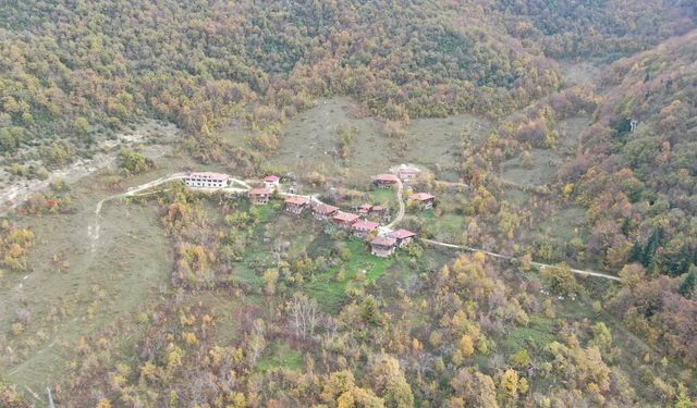 Cide’de sonbaharın renk cümbüşü mest ediyor