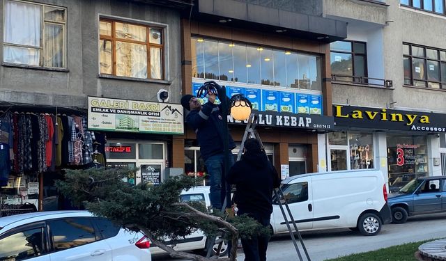 Çayboyu’nda aydınlatma direkleri yenilendi