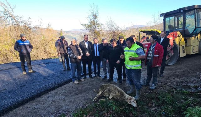 Asfalt çalışmasını kurban keserek kutladılar