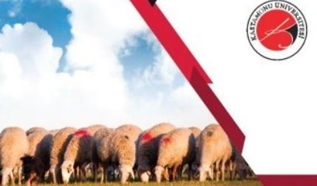 Kastamonu Üniversitesi hayvancılığı mercek altına aldı