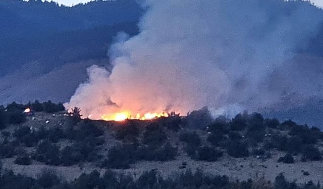 Kastamonu’da orman yangını çıktı