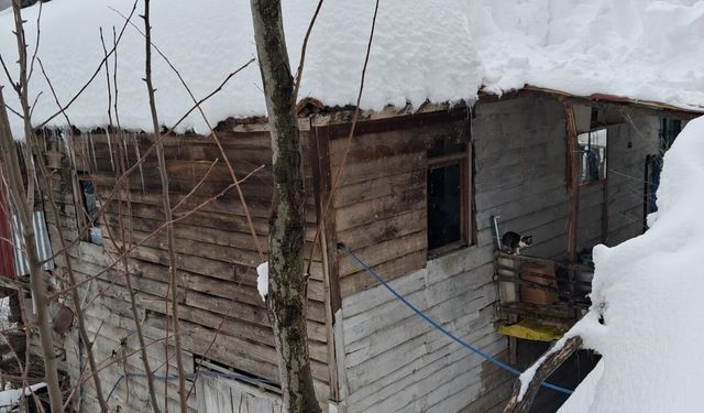 Cide Ağaçbükü Köyü’nde kar kalınlığı 135 santimetreye ulaştı