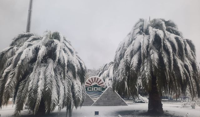 Cide’de 2 Ocak Cuma günü okullar tatil edildi