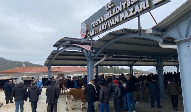 Tosya pazarına yeniden kavuştu