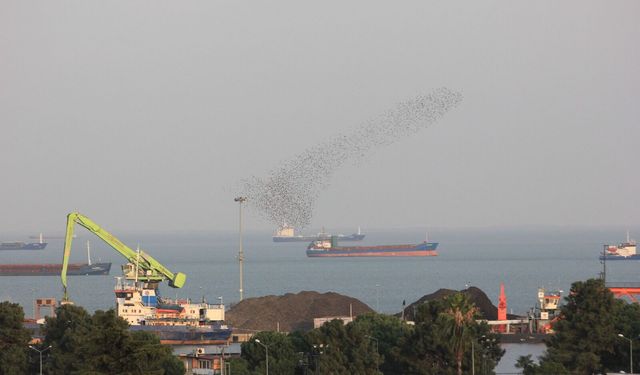 Orta Karadeniz’in ihracat gücünde Kastamonu da pay sahibi