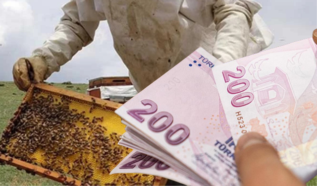 Kastamonu arıcılarına 10 milyon TL’yi aşan ödeme