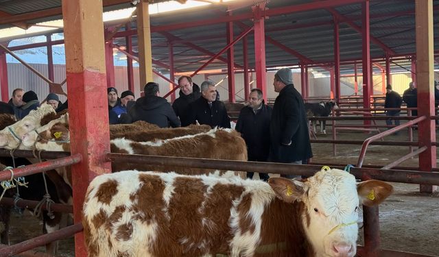 Kastamonu Hayvan Pazarı kapılarını açtı