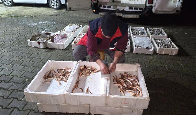 Kastamonu’da denetim 1,5 tonu ortaya çıkardı