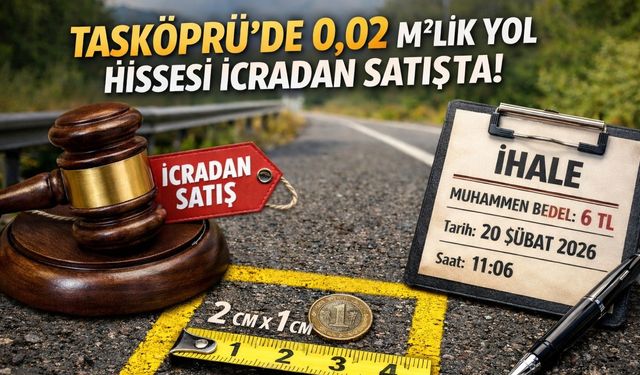 Kastamonu'da 0,02 metrekarelik pay açık artırmaya çıkıyor