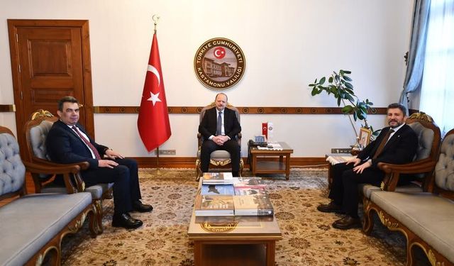 MEB Genel Müdürü'nden Vali Dallı'ya ziyaret