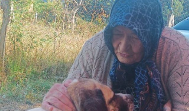 Cide'de Hayriye Arslan vefat etti