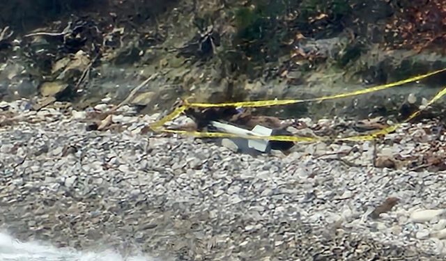 Karadeniz’de kıyıya vuran şüpheli cisim korku yarattı