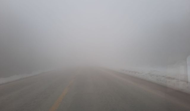 Cide-Kastamonu yolunda göz gözü görmüyor