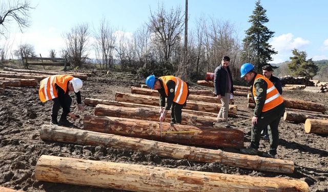Kastamonu’da ormancılar kıyasıya yarıştı