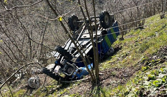 Köpekler yola çıktı, patpat şarampole devrildi!