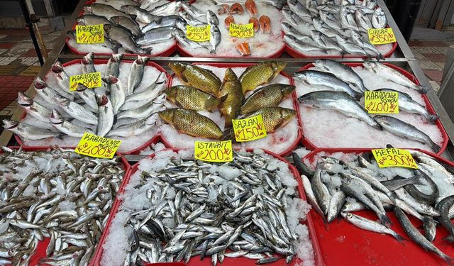 Salı Pazarı’nda son taze balık günleri başladı