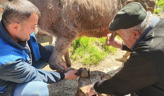 Cide’nin köyünde 55 yıldır ata mesleğini sürdürüyor