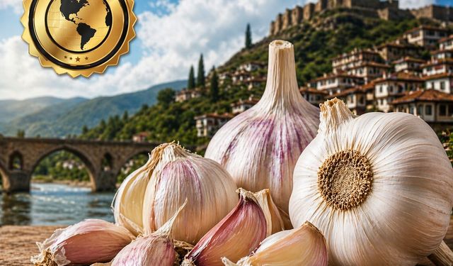 Kastamonu'dan Taşköprü sarımsağı dünya listesine damga vurdu