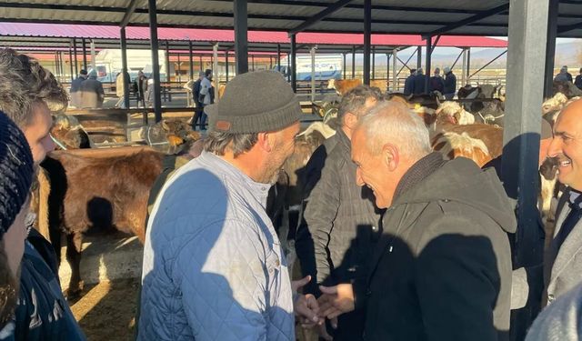 Devrekani’de kurbanlık satışları bayram öncesi canlandı