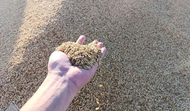 Kastamonu çiftçiler dikkat: Destek listesi açıklandı!