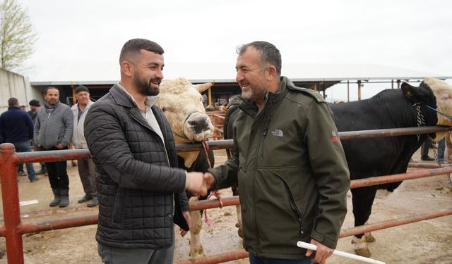 Kastamonu’da 850 kiloluk tosun 340 bin TL’ye satıldı