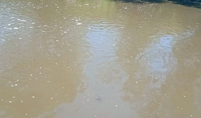Kastamonu’da Devrekani Çayı alarm veriyor