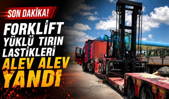 Kastamonu D-100'de tırın tekerleri alev aldı