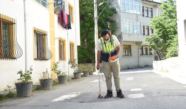 Kastamonu Belediyesi kaçakların peşine düştü