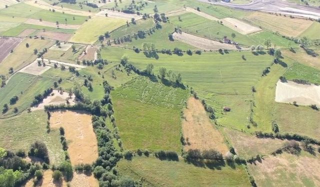 Kastamonu’nun ata tohumu siyezde yeni hedef: Eko turizm