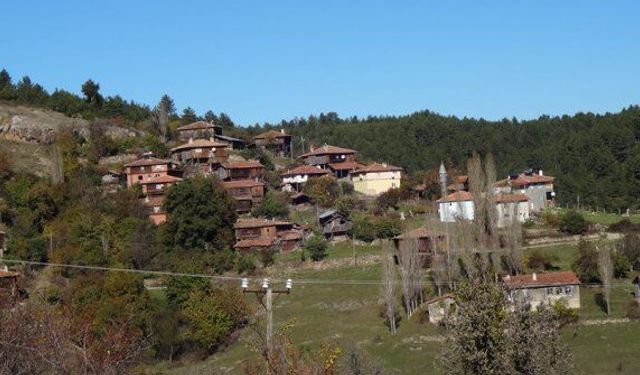 Kastamonu'da kaçak kazı yapılan yer sit alanı oldu