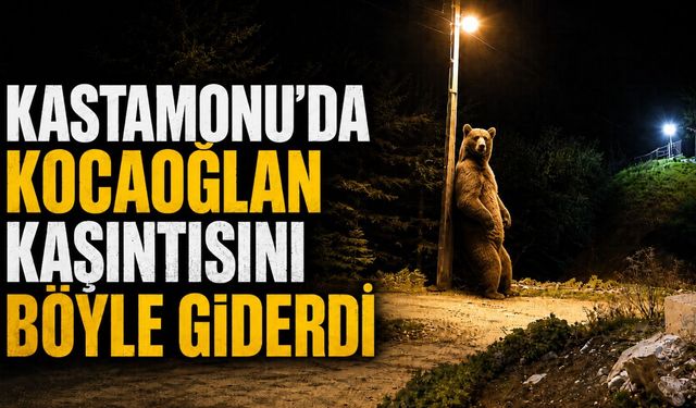 Kastamonu'da kocaoğlan kaşıntısını böyle giderdi!