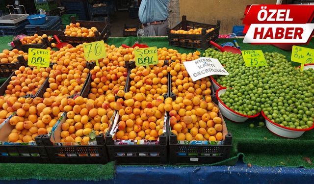 Kastamonu'da yaz meyveleri pazarlarda yerini aldı