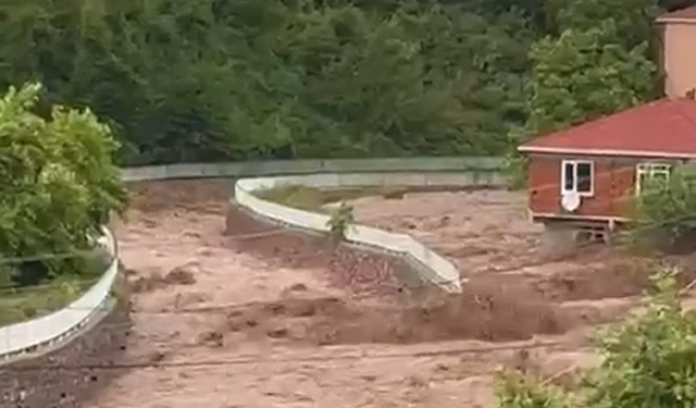 Cide'de dere duvarı çöktü, evleri su bastı