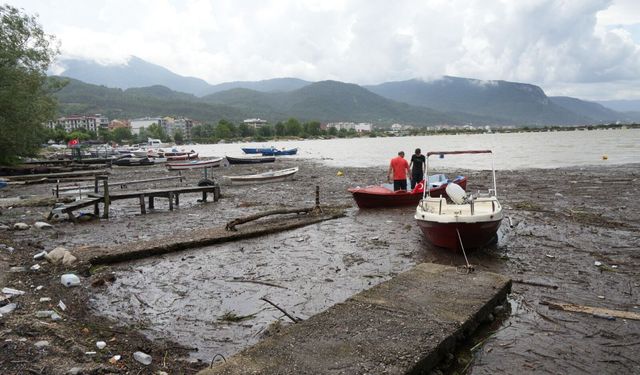 Cide'de sel felaketi denize yansıdı: Liman odun yığınlarıyla doldu