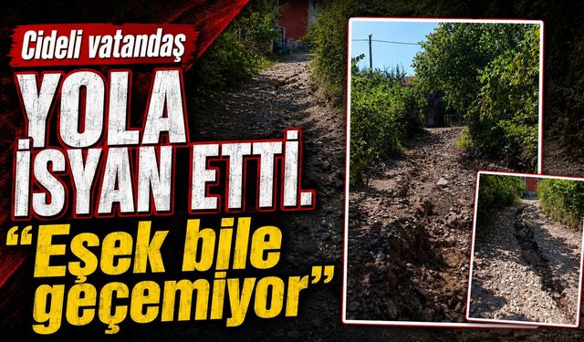 Cideli vatandaş yola isyan etti: "Eşek bile geçemiyor"