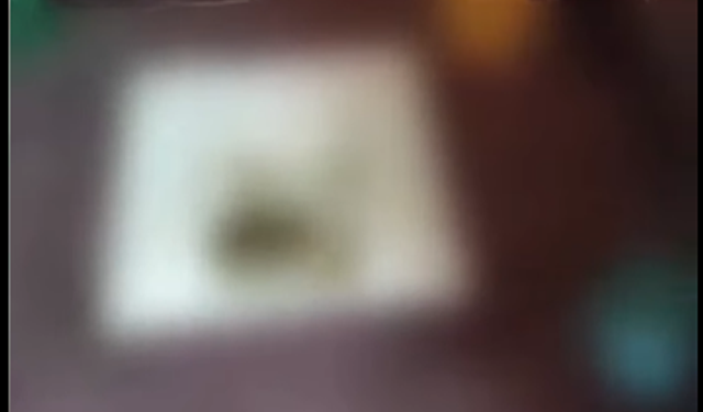 Mide bulandıran görüntüler sonrası iptal kararı!